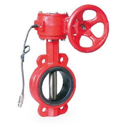 消防管道閥門必須采用經(jīng)消防認(rèn)證的產(chǎn)品