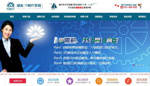 信息技術(shù)咨詢服務(wù) 電腦IT技術(shù)培訓(xùn)學(xué)校如何通過海量信息霸屏獲取生源咨詢